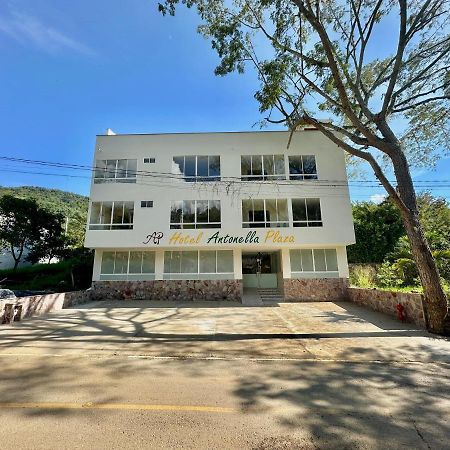 Hotel Antonella Plaza Pinchote Екстер'єр фото